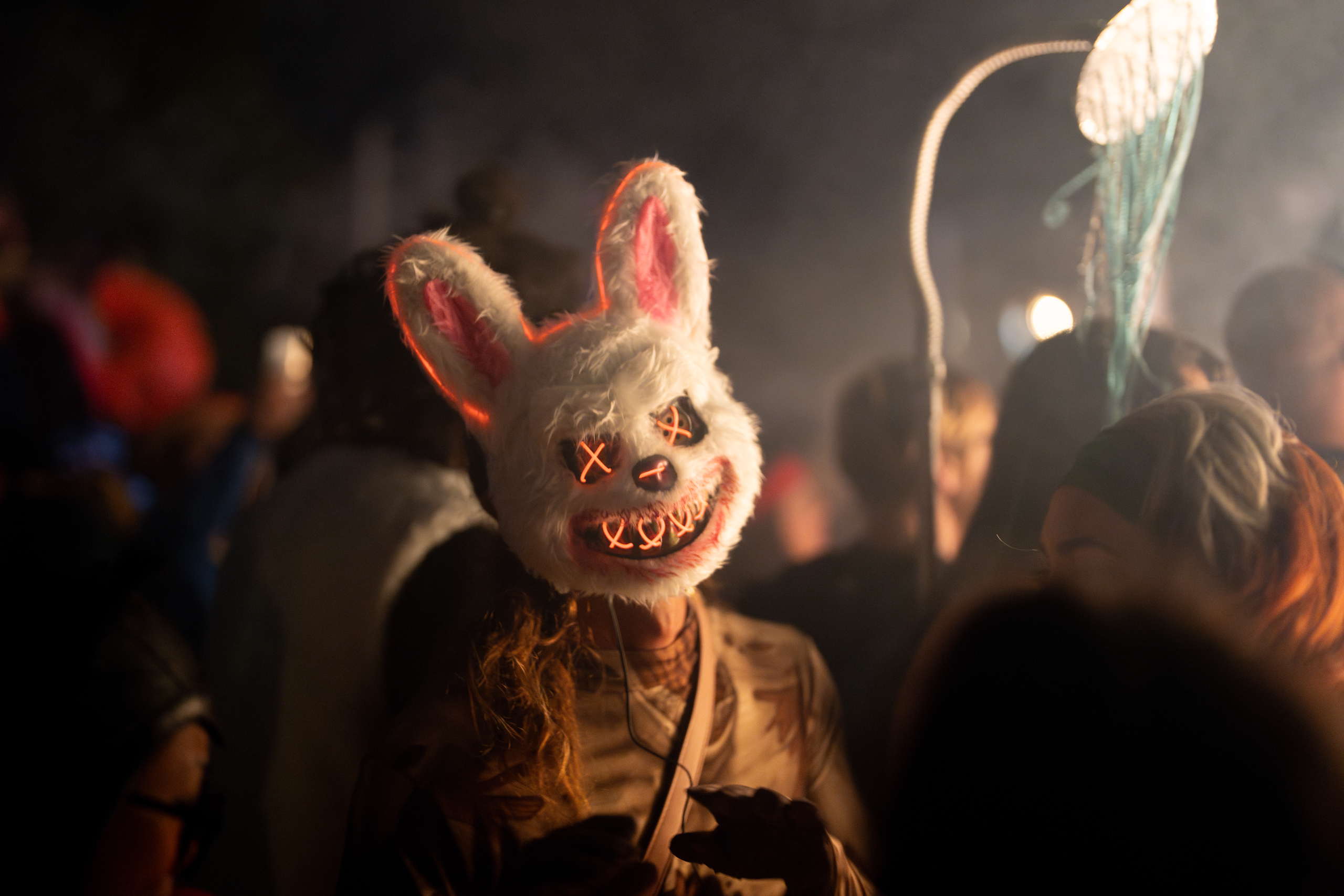 Rabbit Costume